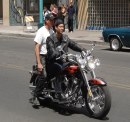 wild hogs bike wild hogs bike stunt rider